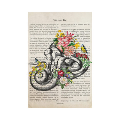 «Inner Ear Anatomy Flower Print» par Aged Pixel - Giclée sur toile tendue avec châssis