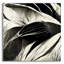 «Flowers Black White 2» par Ray Heere-2031006800