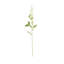 Tige de fleur artificielle Cole and Grey