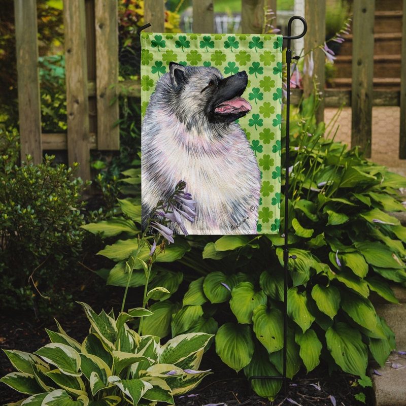 Drapeau de jardin à 2 côtés st. patrick day trèfle, Keeshond