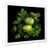 Cadre simple blanc