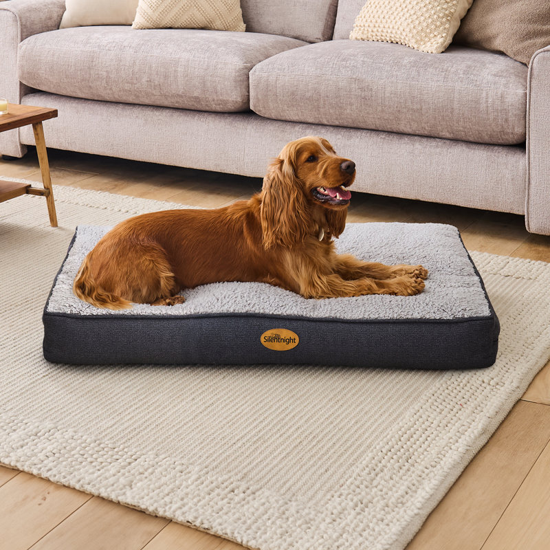 Silentnight Ultrabounce Pet Bed, 50cm H x 75cm W x 11cm D, Beige