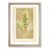 Oak Framed