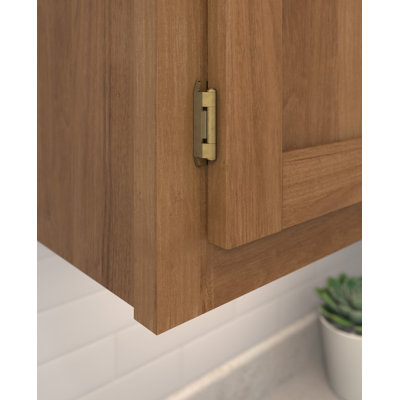 Charnière d'armoire double en laiton bruni superposé 1/2 pouce (13 mm) - 1 paire