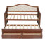Lit simple tapissier en bois avec lit gigogne et 2 tiroirs de rangement-1990347818