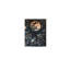 Lune foncée et fleur, impression sur toile, support de cadre en bois massif, 16 po x 24 po
