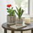 Decorative Ceramic Planter with Saucer for Indoor and Outdoor Spaces - Flower Pots for Home, Living Room, or Patio Decor - Set of 2, 8", 6"
