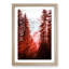 Mountain Through the Forest in Abstract - Picture Frame Graphic Art Print-55731210-55731213