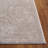 Reflection Performance Oriental Indoor Rug-774508504