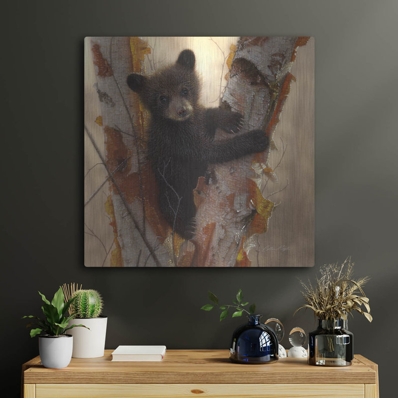 «Curious Cub I» par Collin Bogle, H 24 po x l 24 po