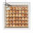 Farm Innovators 3200 Automatic 41 Spot Egg Turner for Improved Hatching