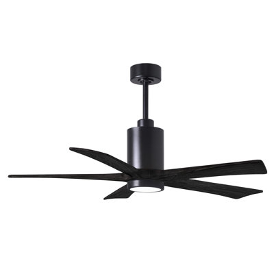 Patricia 52'' Ceiling Fan with LED Lights