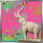 «Elephant, Do You (Square)» par Jodi - impression-825969506-825969512