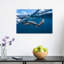 Wild Dolphins Ocean Swim Abstract Contemporary Dolphin Nature Ocean Wall Art Print by Barathieu Gabriel - Wrapped Canvas Print-362748236