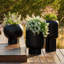 Lorenzo Small Concrete Outdoor Planter