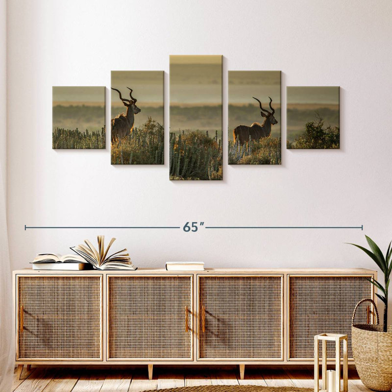 Kudu Bulls, H 24 po x l 55 po