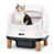 White/Oak est en rupture de stock