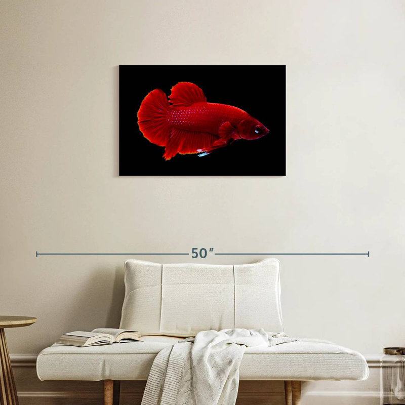Brampt Vibrant Red Betta, 20'' H x 30'' W