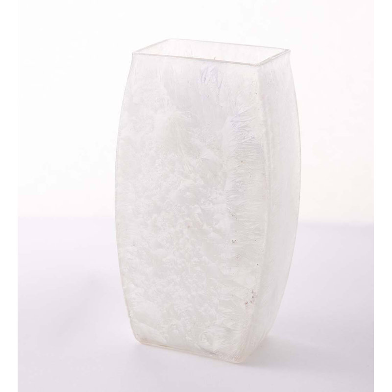 Winter Bluebirds Frosted Glass Net Light