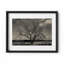 Baum Im Winter Print by Joseph Regan-66911029-66911030