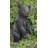 Bear Cub Standing Statue