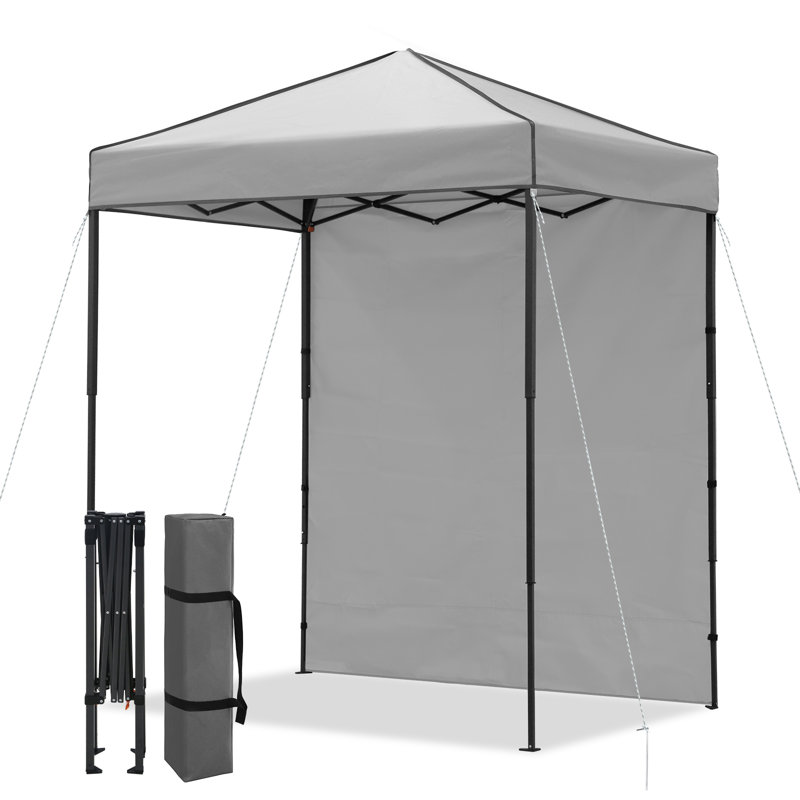 Tente d'auvent 6 x 4, auvent escamotable robuste avec paroi latérale, Gris