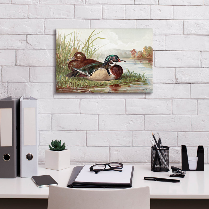 Toile épique «Resting Duck 2» par Stellar Design Studio, Epic Graffiti, 18 po x 12 po, H 12 po x l 18 po
