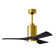 Patricia LED Ceiling Fan