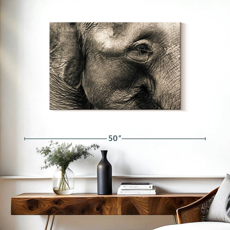 Brampt Wrinkled Elephant Face, 24" H x 36" W