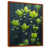 Toile brune avec cadre flottant
