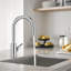 Pull Down Spray Single Lever Kitchen Tap-150585351