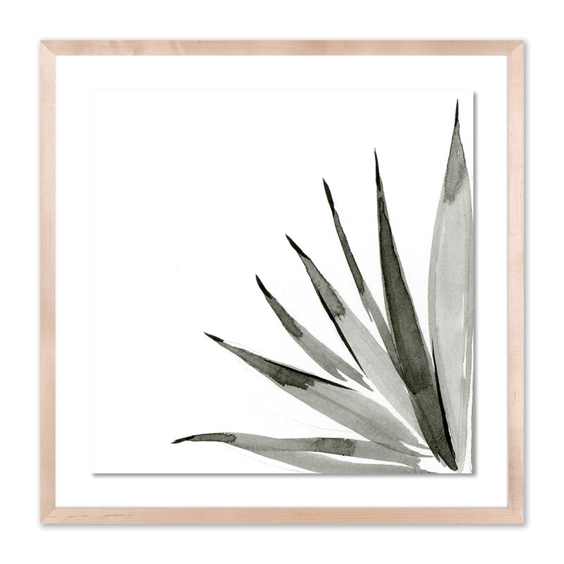 «Agave I» par Jess Engle - reproduction d'art encadrée, Naturel, H 24 po x l 24 po x P 1,5 po