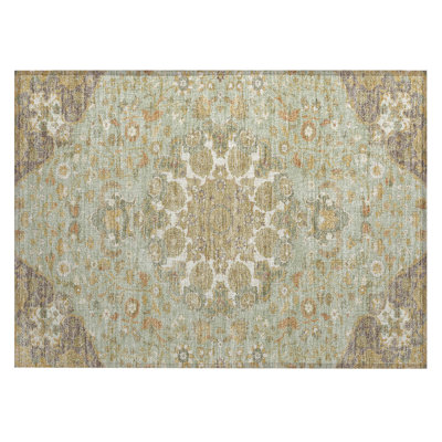 Machine Washable Indoor/Outdoor Chantille ACN2611 Damask Rug