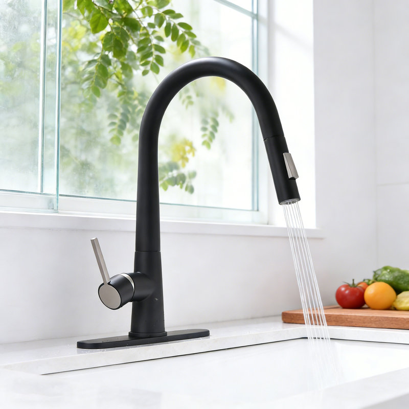 Robinet d'évier de cuisine avec douchette extractible