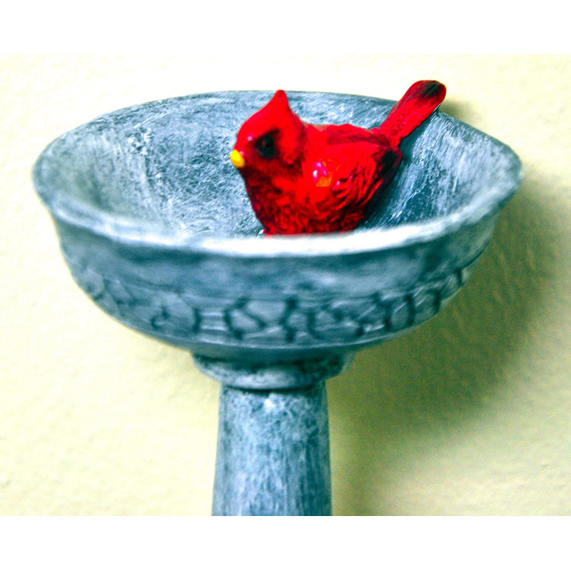 Bain d'oiseaux cardinal miniature Doreon Garden