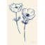 «Ink Anemones I» par Sara Zieve Miller - impression sur toile tendue-1427905112-1466683496-1466683517