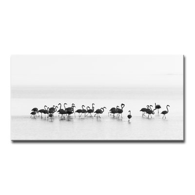 " Flamingos "
