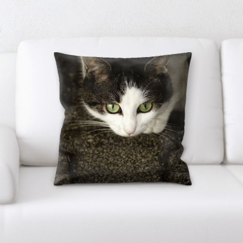 Coussin pour chat
