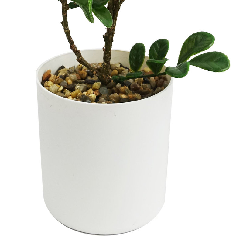 Eucalyptus Arrangement in Pot
