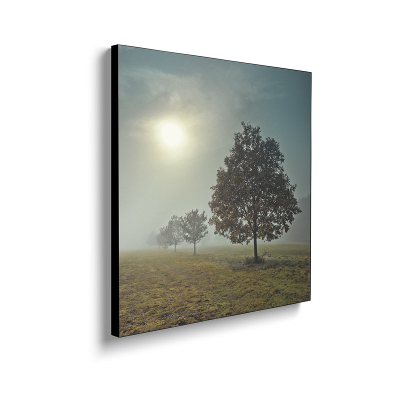 Impression sur toile, "Steppeix" par Assaf Frank