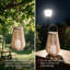 Lot de 2 lanternes solaires d'extérieur étanches, lanternes solaires en forme de vase avec poignée, corde enroulée à la main, allumage automatique du crépuscule à l'aube, DEL pour terrasse, jardin ou porche-135374952