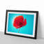Red Poppy in Abstract - Picture Frame Painting Print-55597930-55597929