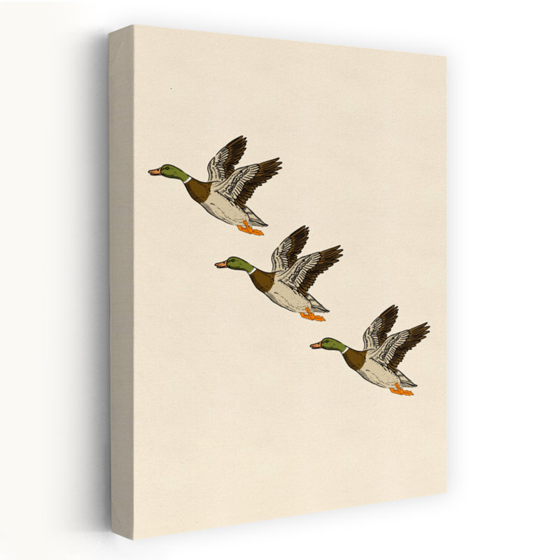 Canards colvert en vol, H 18 po x l 12 po