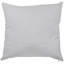 Insert de coussin