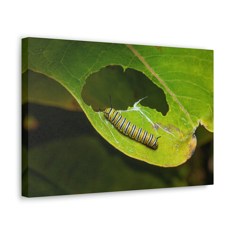 No Frame Print on Canvas