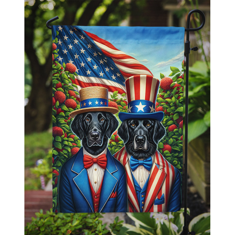 Drapeau All American Garden, Retriever à poil plat