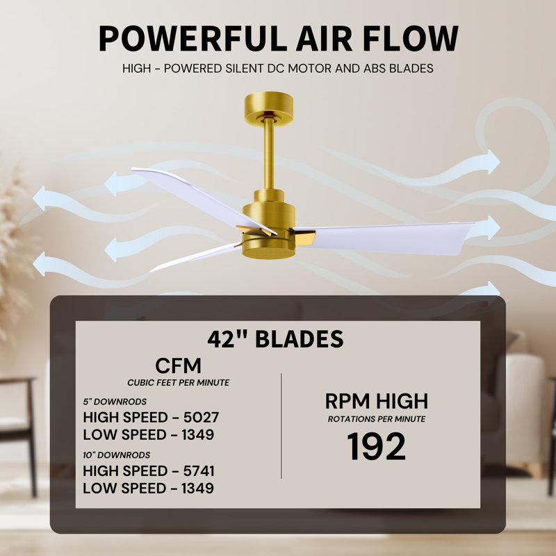 Alessandra Outdoor Downrod Ceiling Fan, Brushed Brass, Matte White