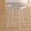 Brycin Tray Table-2075416898