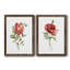 Pivoine écarlate - ensemble de 2 reproductions d'art-1707268026-1707268022-1707267970