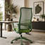 Fauteuil de bureau ergonomique et coloré 350LBS Home Office Mesh